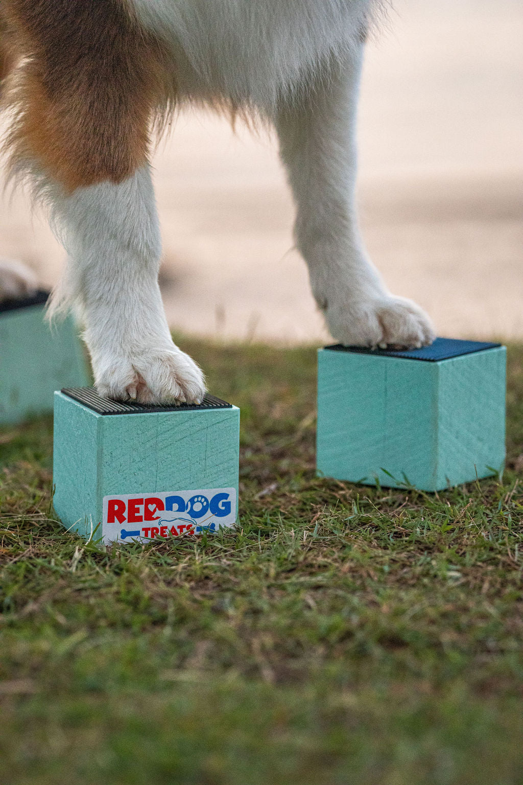 Training Blocks