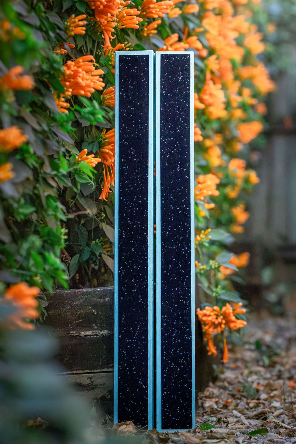 Long Rails